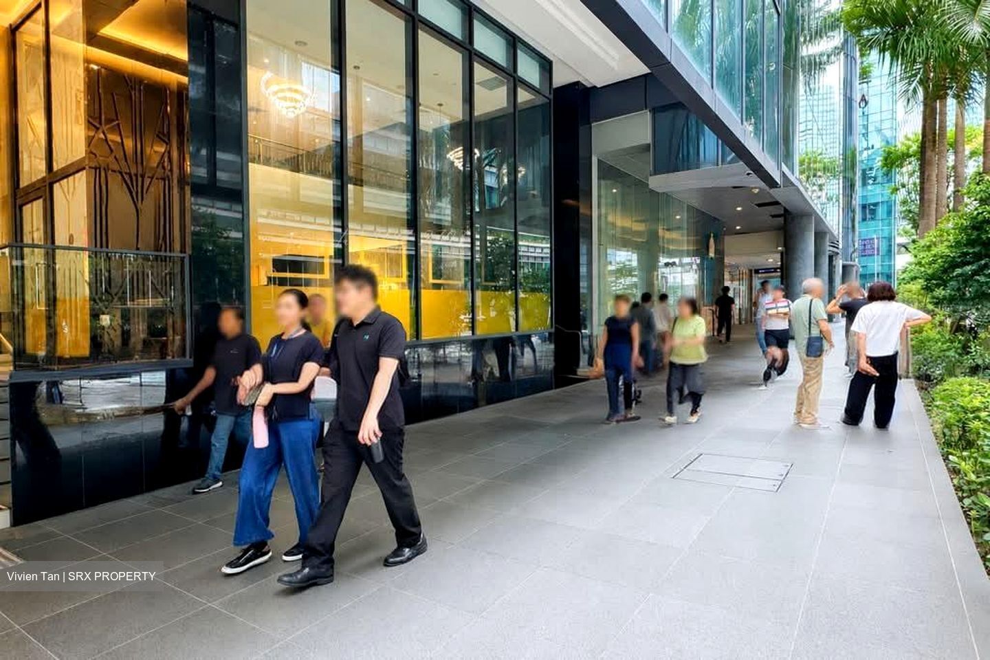 18 ROBINSON (D1), Retail #557741281
